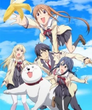 Aho Girl