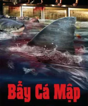 Bẫy Cá Mập