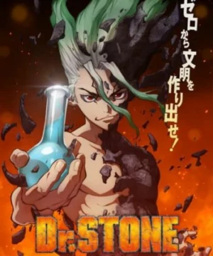 Dr. Stone