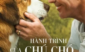 Hành Trình Của Chú Chó Bailey