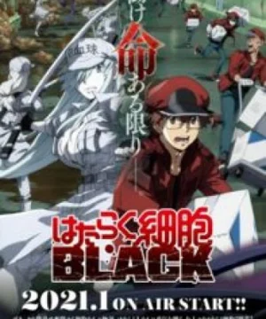 Hataraku Saibou Black