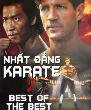 Nhất Đẳng Karate 2